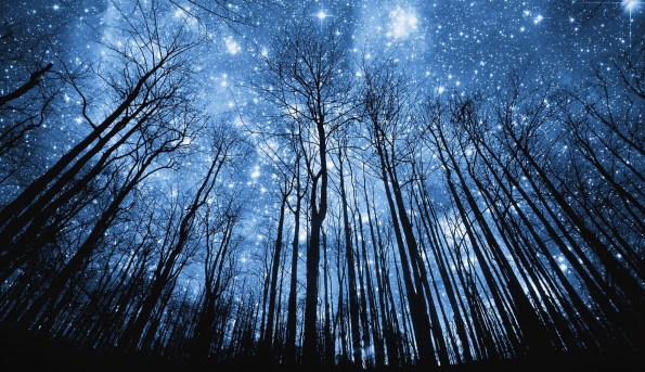 THIS IS WHAT WE ARE MISSING EVERYDAY...