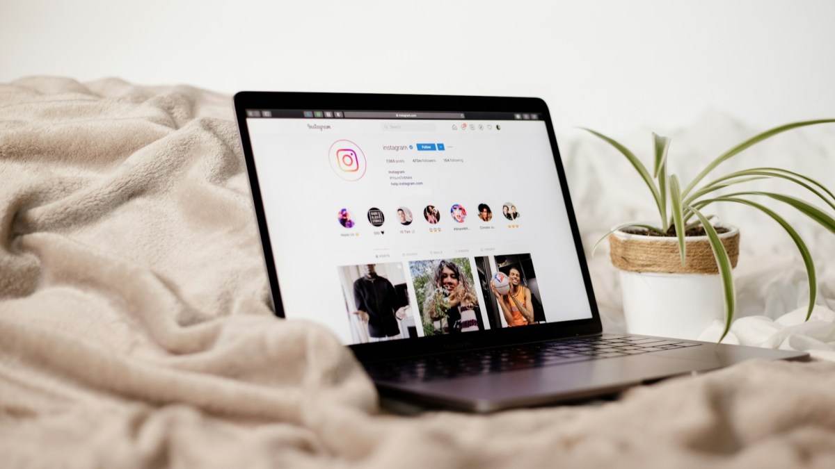 Influencers or Manipulators?