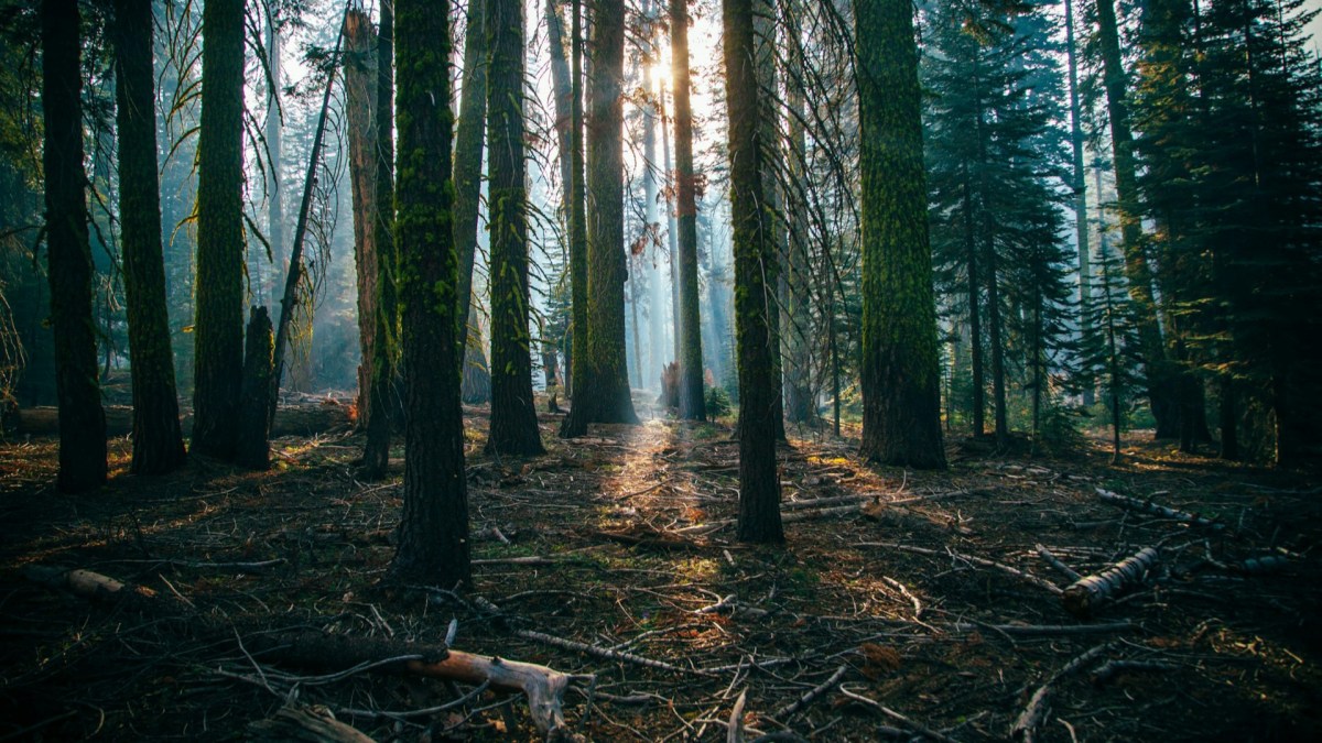 Through days of&nbsp;doom